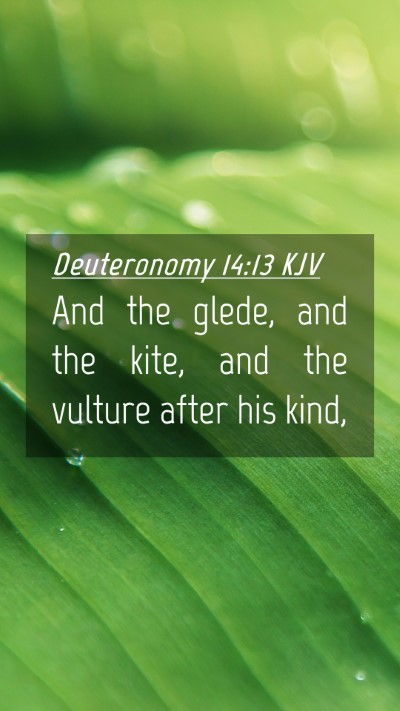 Picture 04 - Deuteronomy 14:13 KJV Mobile Phone Wallpaper - And the glede, and the kite, and the vulture - Mobile Bible Verse Wallpaper