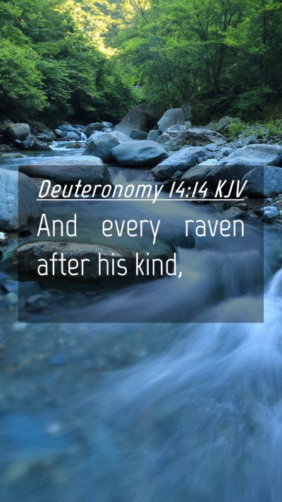 Picture 04 - Deuteronomy 14:14 KJV Mobile Phone Wallpaper - And every raven after his - Mobile Bible Verse Wallpaper