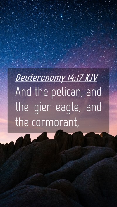 Picture 04 - Deuteronomy 14:17 KJV Mobile Phone Wallpaper - And the pelican, and the gier eagle, and the - Mobile Bible Verse Wallpaper
