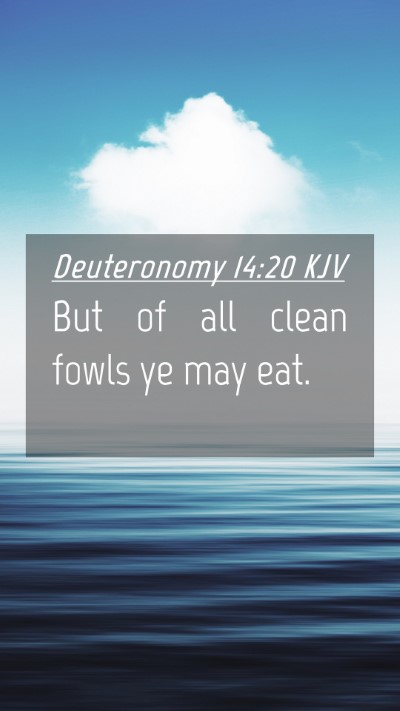 Picture 04 - Deuteronomy 14:20 KJV Mobile Phone Wallpaper - But of all clean fowls ye may - Mobile Bible Verse Wallpaper