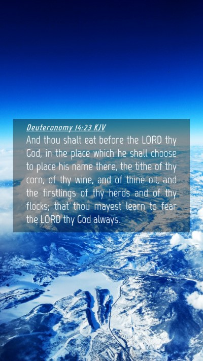 Picture 04 - Deuteronomy 14:23 KJV Mobile Phone Wallpaper - And thou shalt eat before the LORD thy God, in - Mobile Bible Verse Wallpaper