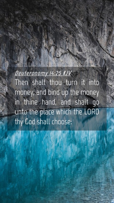 Picture 04 - Deuteronomy 14:25 KJV Mobile Phone Wallpaper - Then shalt thou turn it into money, and bind up - Mobile Bible Verse Wallpaper