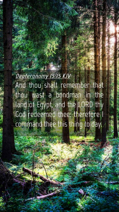 Picture 04 - Deuteronomy 15:15 KJV Mobile Phone Wallpaper - And thou shalt remember that thou wast a bondman - Mobile Bible Verse Wallpaper