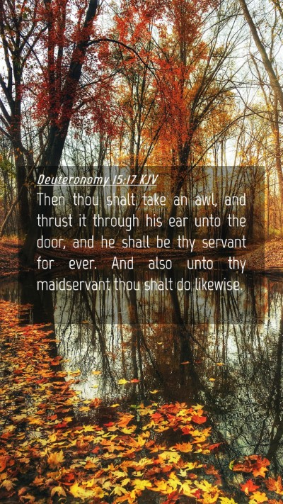 Picture 04 - Deuteronomy 15:17 KJV Mobile Phone Wallpaper - Then thou shalt take an awl, and thrust it - Mobile Bible Verse Wallpaper