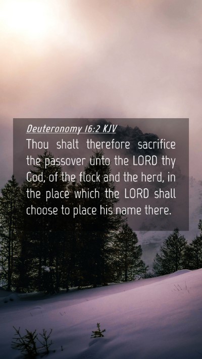 Picture 04 - Deuteronomy 16:2 KJV Mobile Phone Wallpaper - Thou shalt therefore sacrifice the passover unto - Mobile Bible Verse Wallpaper