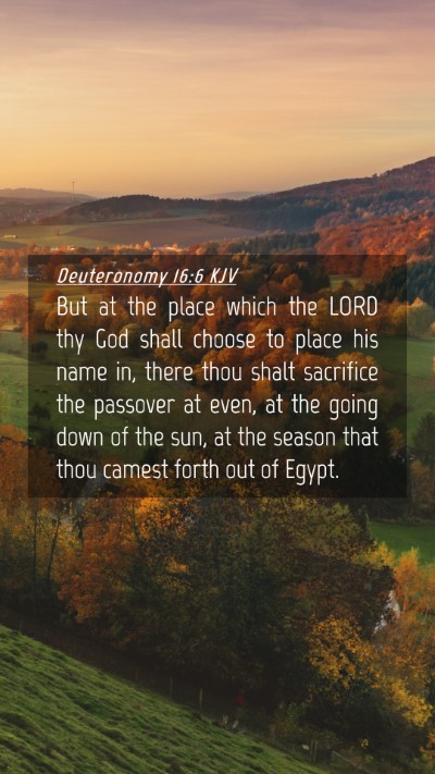 Picture 04 - Deuteronomy 16:6 KJV Mobile Phone Wallpaper - But at the place which the LORD thy God shall - Mobile Bible Verse Wallpaper