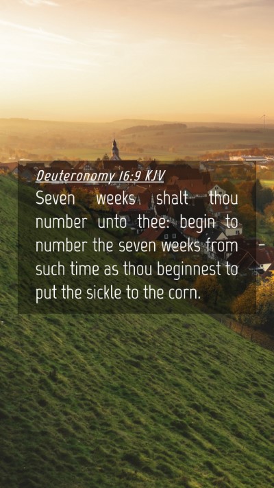 Picture 04 - Deuteronomy 16:9 KJV Mobile Phone Wallpaper - Seven weeks shalt thou number unto thee: begin to - Mobile Bible Verse Wallpaper