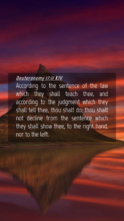 Picture 04 - Deuteronomy 17:11 KJV Mobile Phone Wallpaper - According to the sentence of the law which they - Mobile Bible Verse Wallpaper