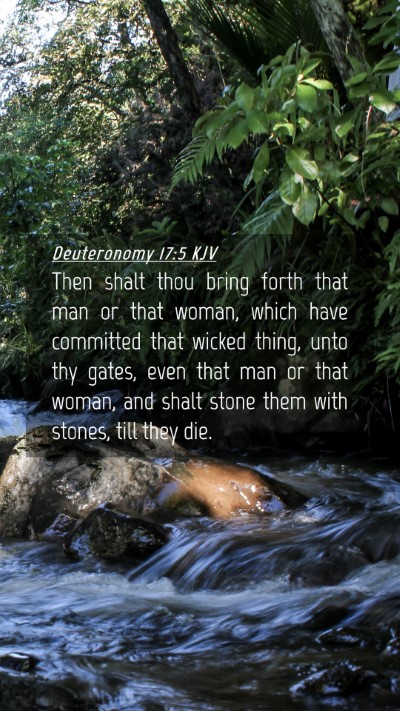 Picture 04 - Deuteronomy 17:5 KJV Mobile Phone Wallpaper - Then shalt thou bring forth that man or that - Mobile Bible Verse Wallpaper