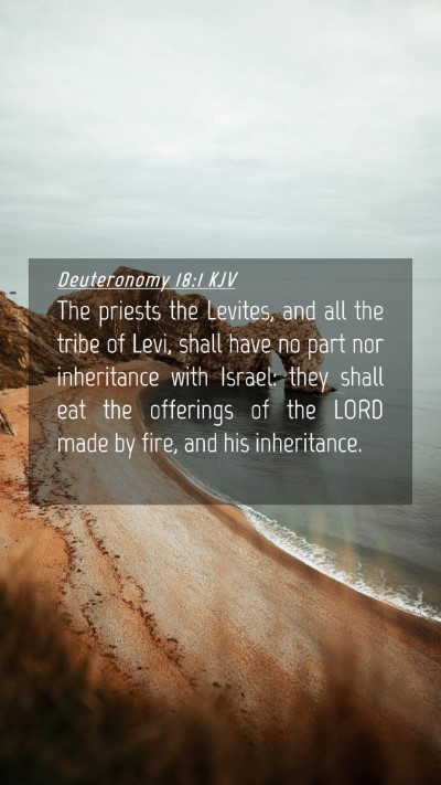 Picture 04 - Deuteronomy 18:1 KJV Mobile Phone Wallpaper - The priests the Levites, and all the tribe of - Mobile Bible Verse Wallpaper