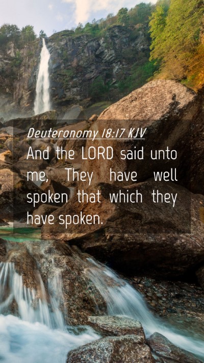 Picture 04 - Deuteronomy 18:17 KJV Mobile Phone Wallpaper - And the LORD said unto me, They have well spoken - Mobile Bible Verse Wallpaper