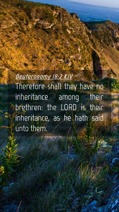 Picture 04 - Deuteronomy 18:2 KJV Mobile Phone Wallpaper - Therefore shall they have no inheritance among - Mobile Bible Verse Wallpaper