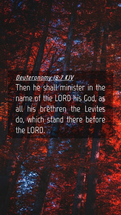 Picture 04 - Deuteronomy 18:7 KJV Mobile Phone Wallpaper - Then he shall minister in the name of the LORD - Mobile Bible Verse Wallpaper