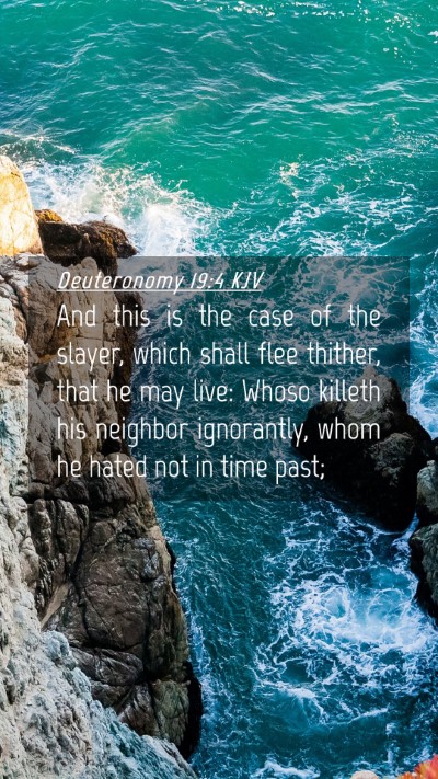 Picture 04 - Deuteronomy 19:4 KJV Mobile Phone Wallpaper - And this is the case of the slayer, which shall - Mobile Bible Verse Wallpaper