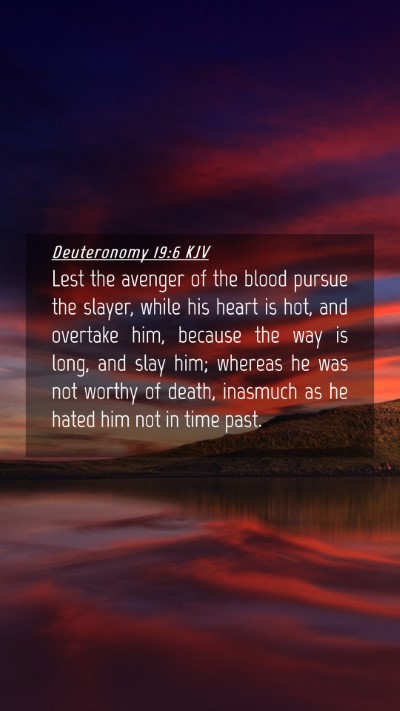 Picture 04 - Deuteronomy 19:6 KJV Mobile Phone Wallpaper - Lest the avenger of the blood pursue the slayer, - Mobile Bible Verse Wallpaper