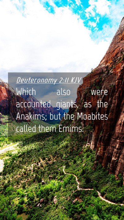 Picture 04 - Deuteronomy 2:11 KJV Mobile Phone Wallpaper - Which also were accounted giants, as the Anakims; - Mobile Bible Verse Wallpaper