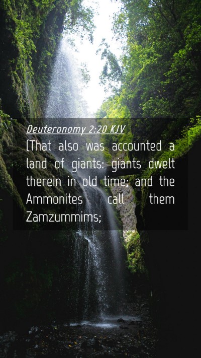 Picture 04 - Deuteronomy 2:20 KJV Mobile Phone Wallpaper - (That also was accounted a land of giants: giants - Mobile Bible Verse Wallpaper