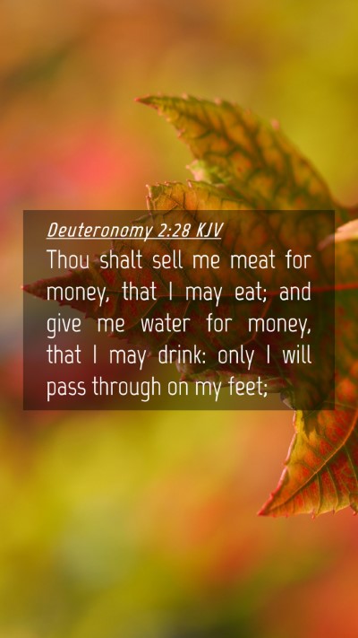 Picture 04 - Deuteronomy 2:28 KJV Mobile Phone Wallpaper - Thou shalt sell me meat for money, that I may - Mobile Bible Verse Wallpaper