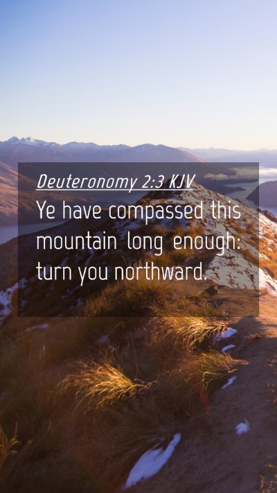 Picture 04 - Deuteronomy 2:3 KJV Mobile Phone Wallpaper - Ye have compassed this mountain long enough: turn - Mobile Bible Verse Wallpaper