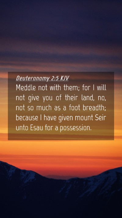 Picture 04 - Deuteronomy 2:5 KJV Mobile Phone Wallpaper - Meddle not with them; for I will not give you of - Mobile Bible Verse Wallpaper