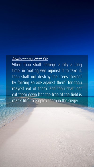 Picture 04 - Deuteronomy 20:19 KJV Mobile Phone Wallpaper - When thou shalt besiege a city a long time, in - Mobile Bible Verse Wallpaper