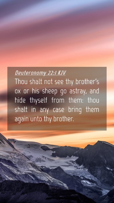Picture 04 - Deuteronomy 22:1 KJV Mobile Phone Wallpaper - Thou shalt not see thy brother's ox or his sheep - Mobile Bible Verse Wallpaper