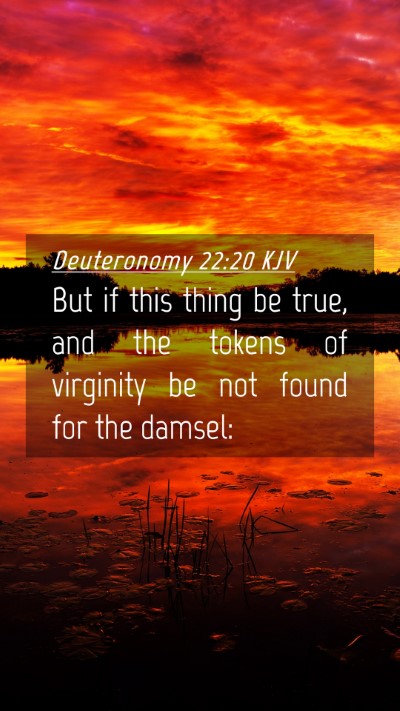 Picture 04 - Deuteronomy 22:20 KJV Mobile Phone Wallpaper - But if this thing be true, and the tokens of - Mobile Bible Verse Wallpaper