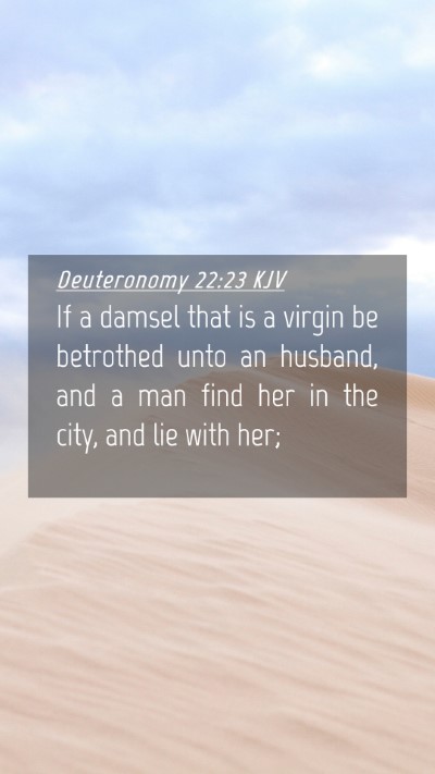 Picture 04 - Deuteronomy 22:23 KJV Mobile Phone Wallpaper - If a damsel that is a virgin be betrothed unto an - Mobile Bible Verse Wallpaper