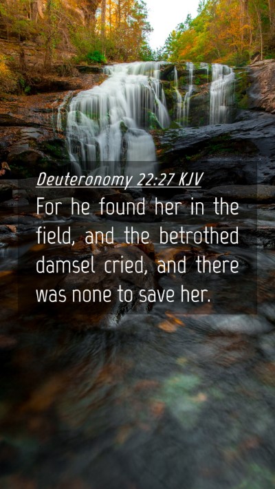 Picture 04 - Deuteronomy 22:27 KJV Mobile Phone Wallpaper - For he found her in the field, and the betrothed - Mobile Bible Verse Wallpaper