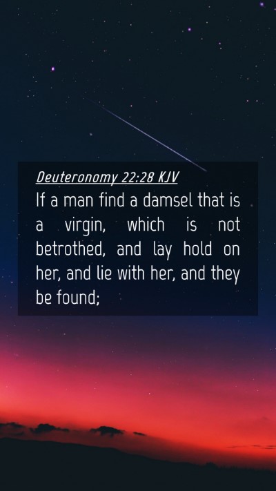 Picture 04 - Deuteronomy 22:28 KJV Mobile Phone Wallpaper - If a man find a damsel that is a virgin, which is - Mobile Bible Verse Wallpaper