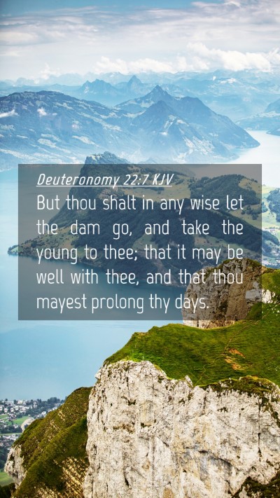 Picture 04 - Deuteronomy 22:7 KJV Mobile Phone Wallpaper - But thou shalt in any wise let the dam go, and - Mobile Bible Verse Wallpaper