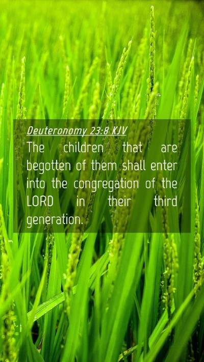 Picture 04 - Deuteronomy 23:8 KJV Mobile Phone Wallpaper - The children that are begotten of them shall - Mobile Bible Verse Wallpaper