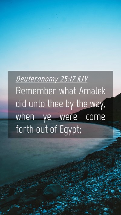 Picture 04 - Deuteronomy 25:17 KJV Mobile Phone Wallpaper - Remember what Amalek did unto thee by the way, - Mobile Bible Verse Wallpaper