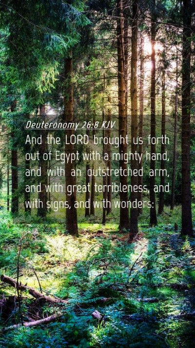 Picture 04 - Deuteronomy 26:8 KJV Mobile Phone Wallpaper - And the LORD brought us forth out of Egypt with a - Mobile Bible Verse Wallpaper
