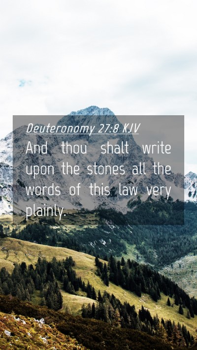Picture 04 - Deuteronomy 27:8 KJV Mobile Phone Wallpaper - And thou shalt write upon the stones all the - Mobile Bible Verse Wallpaper