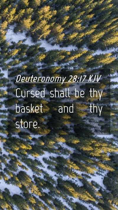 Picture 04 - Deuteronomy 28:17 KJV Mobile Phone Wallpaper - Cursed shall be thy basket and thy - Mobile Bible Verse Wallpaper