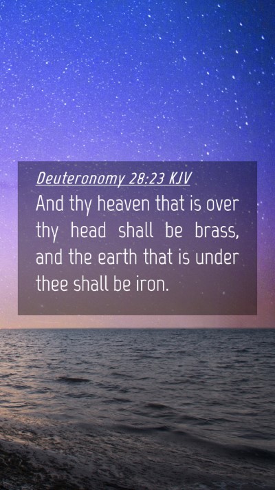 Picture 04 - Deuteronomy 28:23 KJV Mobile Phone Wallpaper - And thy heaven that is over thy head shall be - Mobile Bible Verse Wallpaper