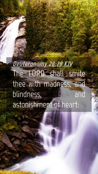 Picture 04 - Deuteronomy 28:28 KJV Mobile Phone Wallpaper - The LORD shall smite thee with madness, and - Mobile Bible Verse Wallpaper