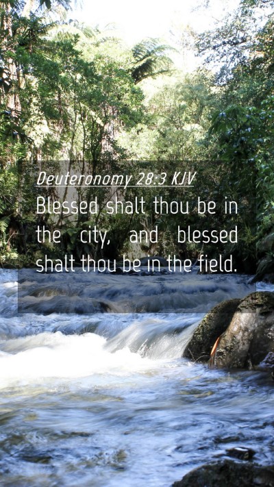 Picture 04 - Deuteronomy 28:3 KJV Mobile Phone Wallpaper - Blessed shalt thou be in the city, and blessed - Mobile Bible Verse Wallpaper