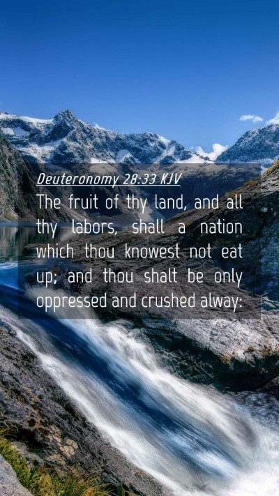 Picture 04 - Deuteronomy 28:33 KJV Mobile Phone Wallpaper - The fruit of thy land, and all thy labors, shall - Mobile Bible Verse Wallpaper