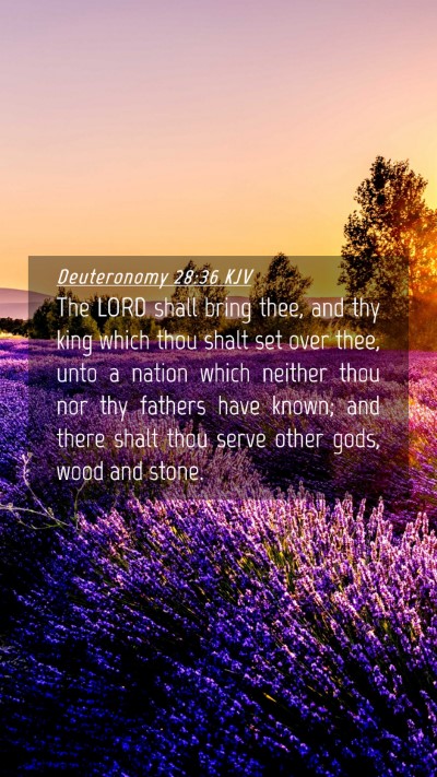 Picture 04 - Deuteronomy 28:36 KJV Mobile Phone Wallpaper - The LORD shall bring thee, and thy king which - Mobile Bible Verse Wallpaper