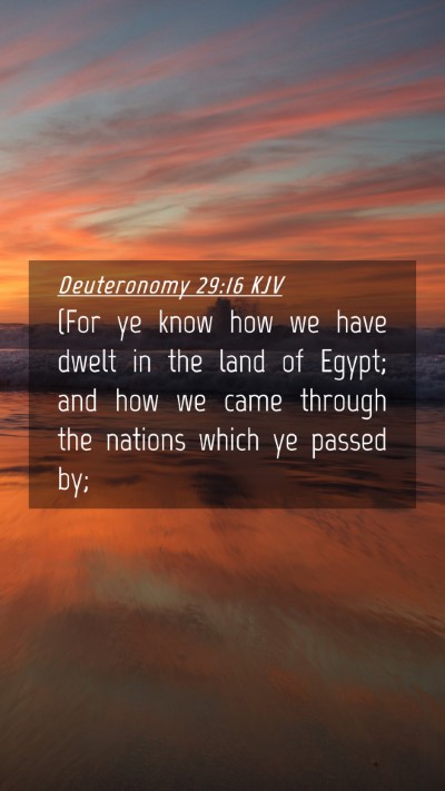 Picture 04 - Deuteronomy 29:16 KJV Mobile Phone Wallpaper - (For ye know how we have dwelt in the land of - Mobile Bible Verse Wallpaper