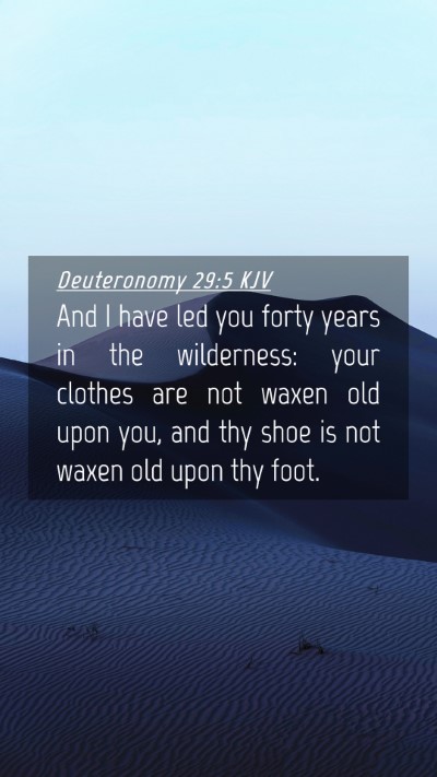 Picture 04 - Deuteronomy 29:5 KJV Mobile Phone Wallpaper - And I have led you forty years in the wilderness: - Mobile Bible Verse Wallpaper