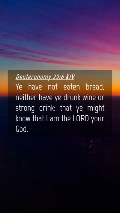 Picture 04 - Deuteronomy 29:6 KJV Mobile Phone Wallpaper - Ye have not eaten bread, neither have ye drunk - Mobile Bible Verse Wallpaper