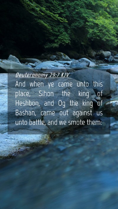 Picture 04 - Deuteronomy 29:7 KJV Mobile Phone Wallpaper - And when ye came unto this place, Sihon the king - Mobile Bible Verse Wallpaper