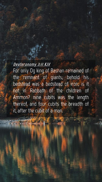 Picture 04 - Deuteronomy 3:11 KJV Mobile Phone Wallpaper - For only Og king of Bashan remained of the - Mobile Bible Verse Wallpaper