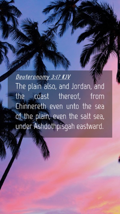 Picture 04 - Deuteronomy 3:17 KJV Mobile Phone Wallpaper - The plain also, and Jordan, and the coast - Mobile Bible Verse Wallpaper