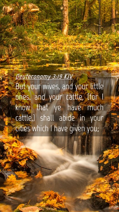 Picture 04 - Deuteronomy 3:19 KJV Mobile Phone Wallpaper - But your wives, and your little ones, and your - Mobile Bible Verse Wallpaper