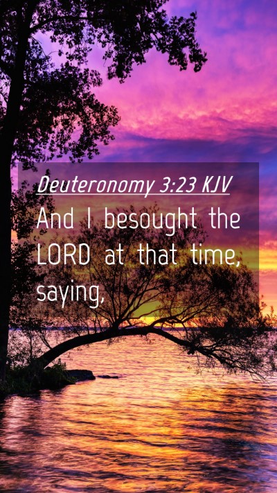 Picture 04 - Deuteronomy 3:23 KJV Mobile Phone Wallpaper - And I besought the LORD at that time, - Mobile Bible Verse Wallpaper