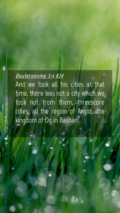 Picture 04 - Deuteronomy 3:4 KJV Mobile Phone Wallpaper - And we took all his cities at that time, there - Mobile Bible Verse Wallpaper